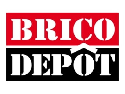 Card Cadou Brico Depot